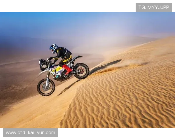 穿越荒漠：WRC沙漠赛段的火热激战，沙漠穿越车辆